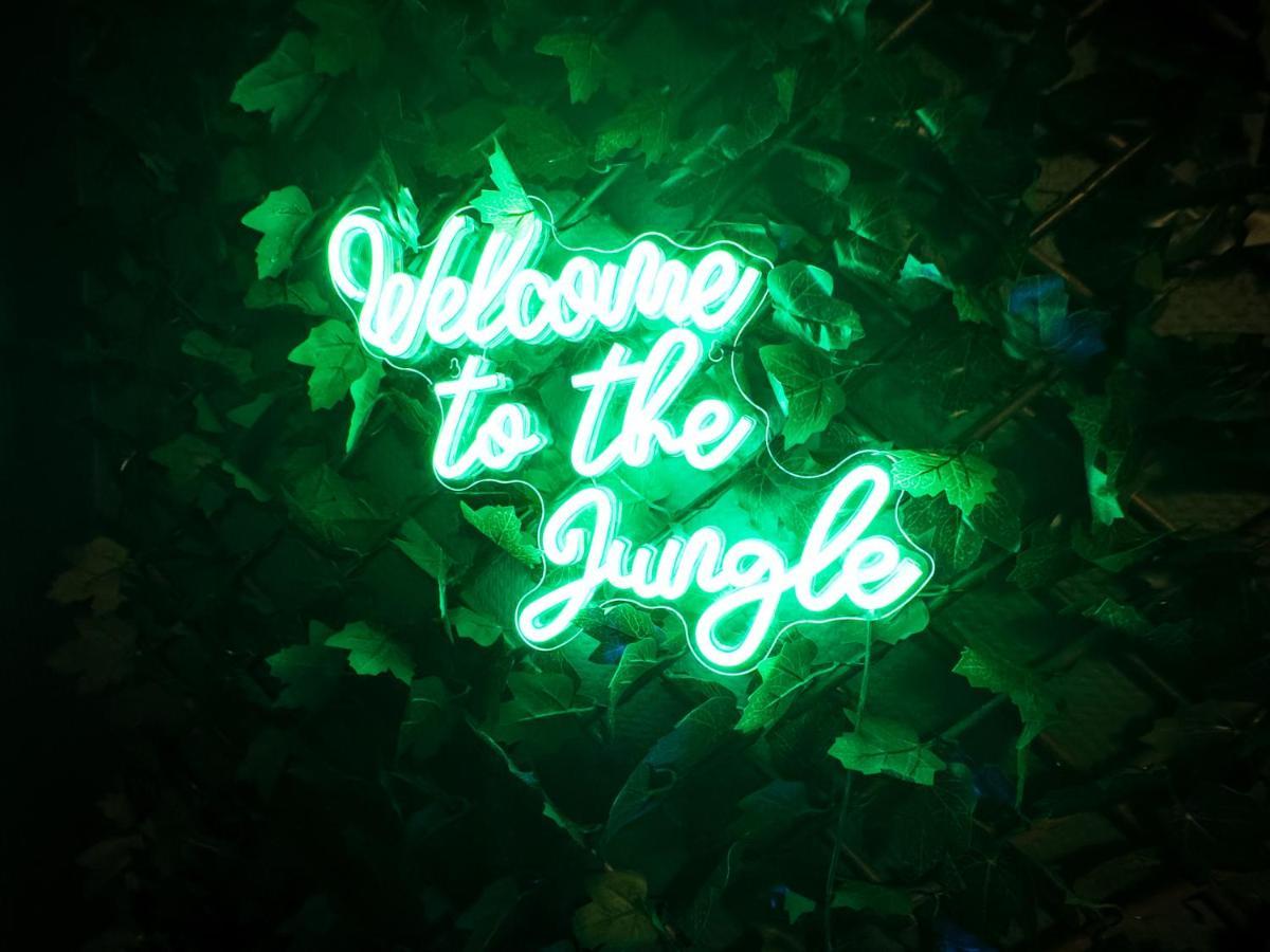 Jungle Urbain- Sauna - Cine - Hamac - Hyper Centre Amiens Exterior photo